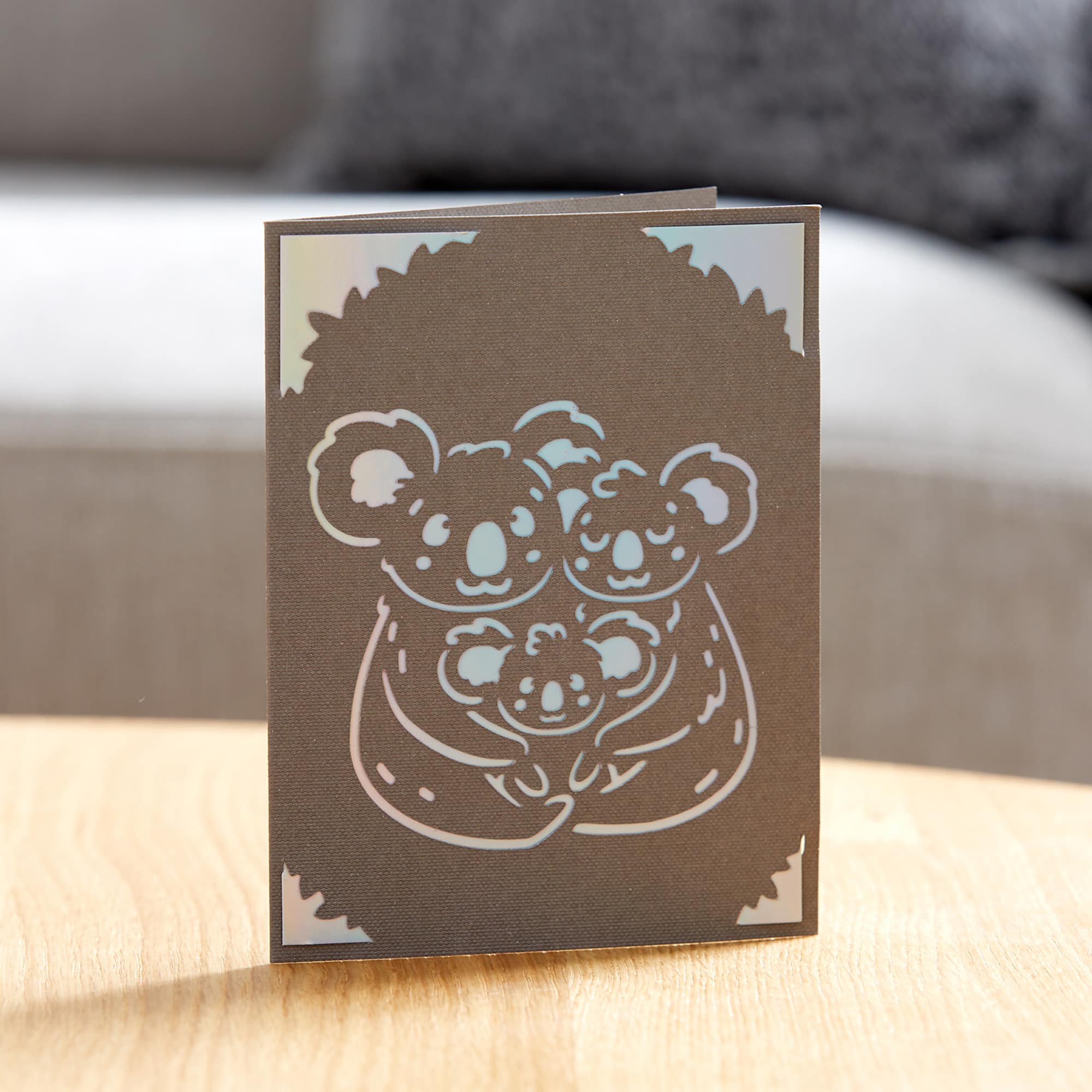 Cricut Joy™ Insert Cards & Silver Holographic